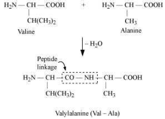 NCERT Solutions for Class 12th Chemistry