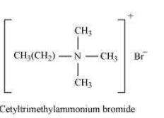 NCERT Solutions for Class 12th Chemistry