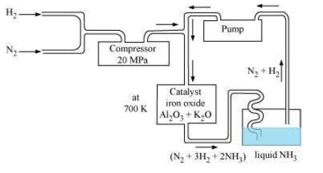 NCERT Solutions for Class 12th Chemistry